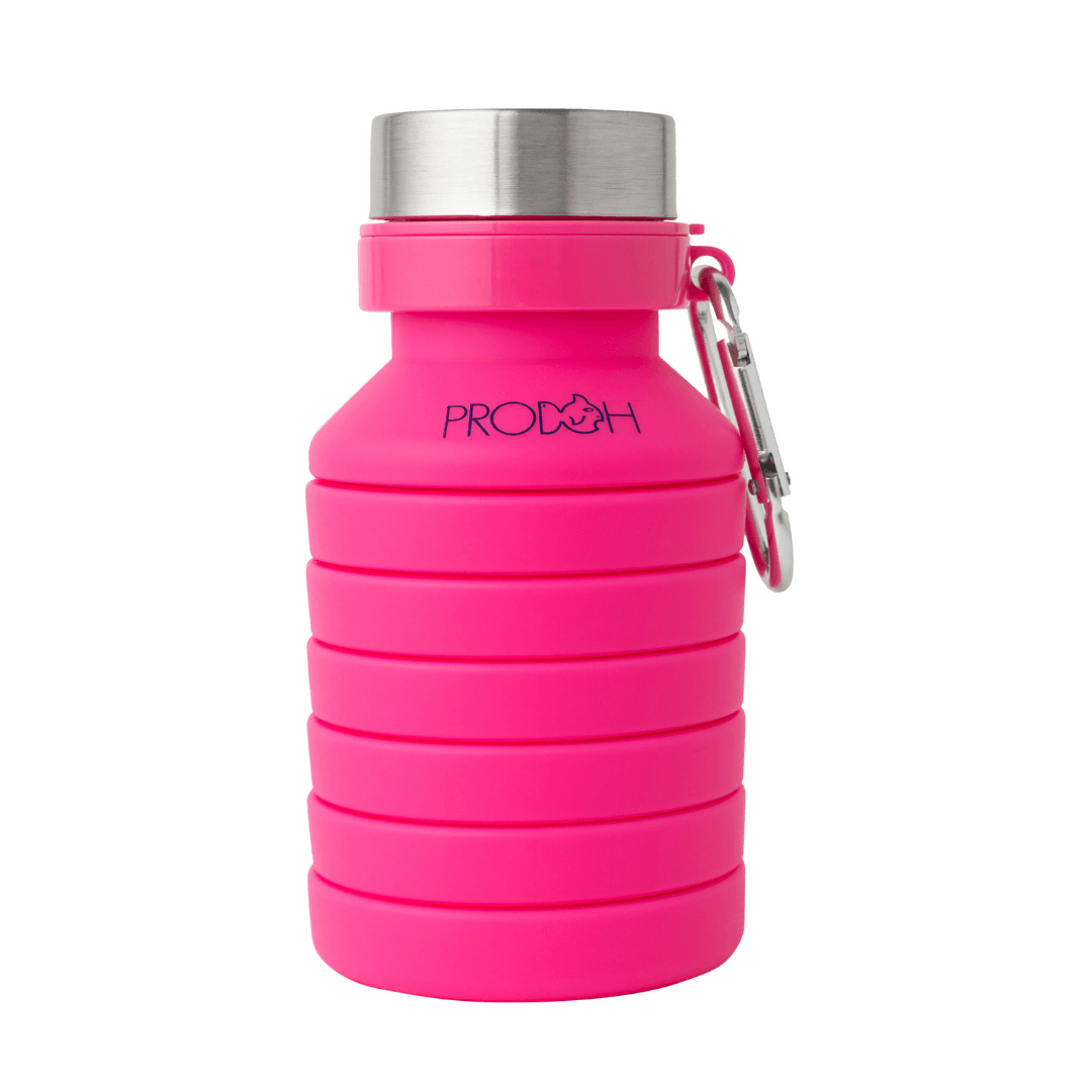 Collapsible Water Bottle with Carabiner in Marina