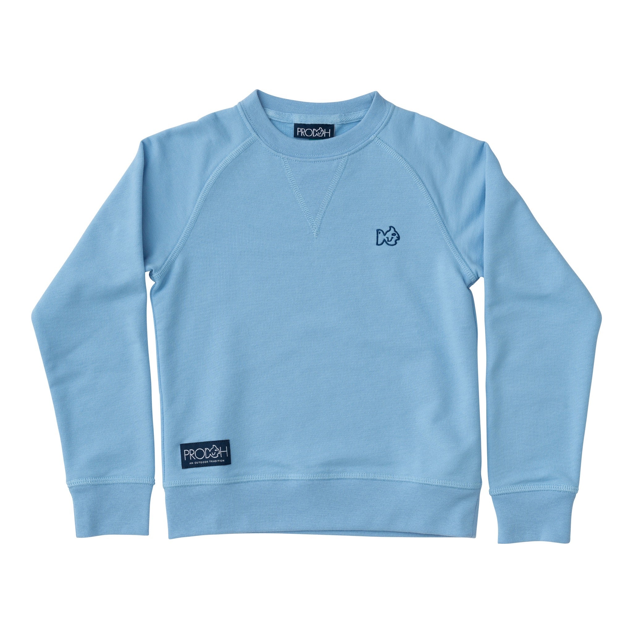 Boys & Girls Crewneck Sweatshirt in Placid Blue | PRODOH